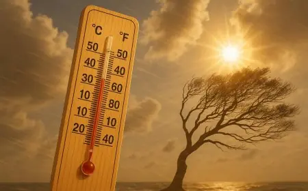 نشرة إنذارية.. موجة حر مرتقبة مع الشركي وزخات رعدية بعدد من مناطق المغرب
