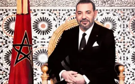 ابتسام الحمومي مديرة الوكالة الحضرية لأكادير تهنئ جلالة الملك بمناسبة ذكرى ثورة الملك و الشعب وعيد الشباب