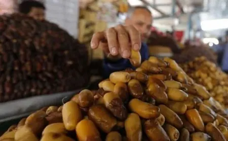 موسم 2025 للتمور المغربية يبشر بوفرة وجودة عالية بعد سنوات الجفاف