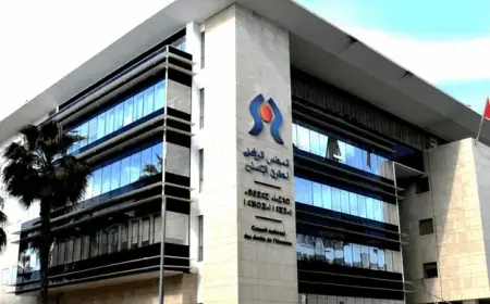المجلس الوطني لحقوق الإنسان يتابع ملف الطفل ضحية اعتداء جنسي بالجديدة