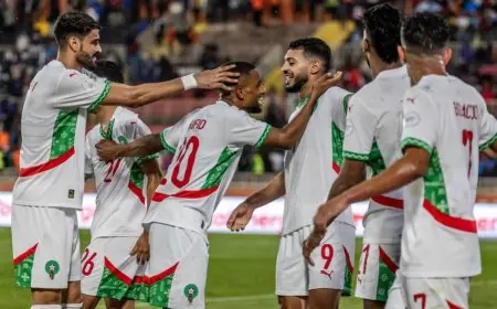 "الأسود المحليين" يسعون لتخطي عقبة تنزانيا نحو نصف نهائي "الشان"