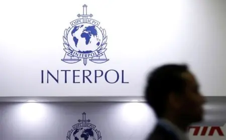 توقيف 1200 شخص في إفريقيا خلال حملة لمكافحة الجريمة السيبرانية بإشراف الانتربول