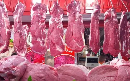 أسعار اللحوم بالمغرب تواصل الارتفاع وتزيد من معاناة المواطنين
