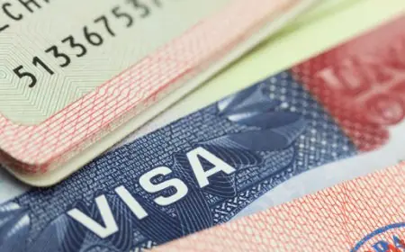 خسائر بـ20 مليار سنتيم.. مطالب برلمانية للكشف عن أسباب رفض التأشيرات الأجنبية