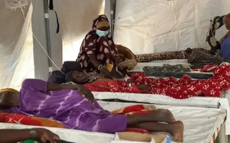 ارتفاع عدد حالات الكوليرا في دارفور وسط نقص حاد في المستلزمات الطبية