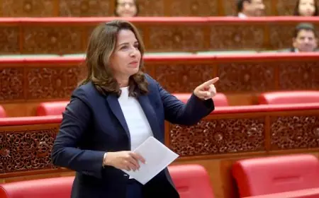 ليلى بنعلي تعفي مدير جهة وجدة وتكلف المصطفى رؤوفي بالنيابة