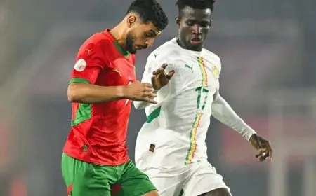 المنتخب الوطني المحلي  يعبر إلى نهائي "الشان" بعد إقصاء نظيره السنغالي بركلات الترجيح