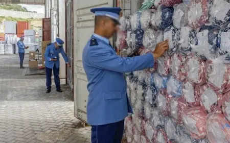 الجمارك تحجز سلعا مهربة بقيمة 284 مليون درهم خلال 2024