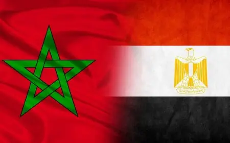 المغرب ومصر يدعمان الشراكة في الابتكار الرقمي والذكاء الاصطناعي