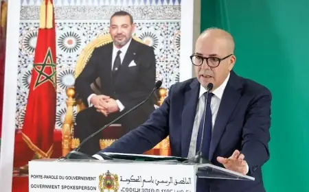 البواري: ارتفاع أعداد الماشية إلى 32.8 مليون رأس رغم تراجع بعض الأصناف