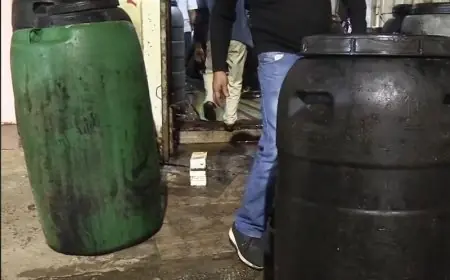 إحباط محاولة تسويق كمية مهمة من الزيتون الفاسد في السوق بالقنيطرة