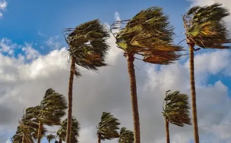 طقس الاثنين.. هبوب رياح قوية وتطاير غبار بعدد من مناطق المغرب