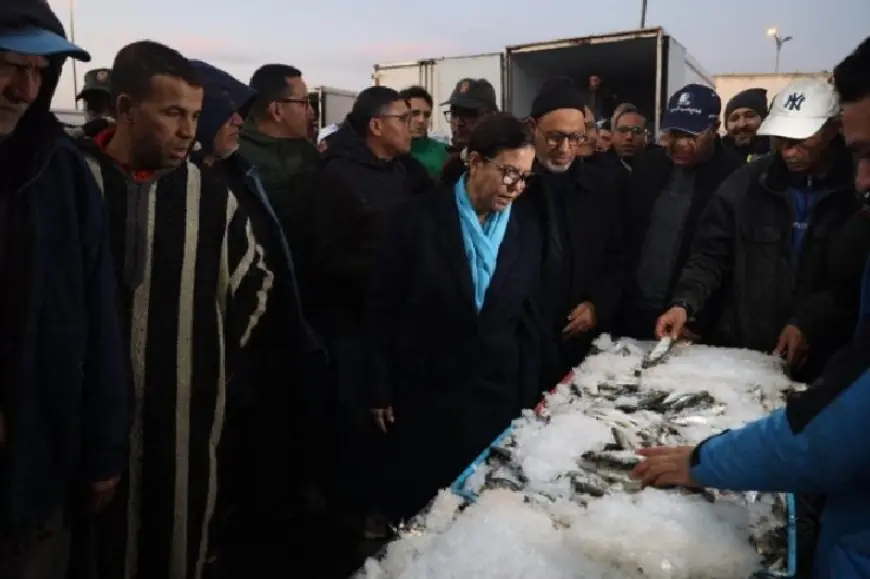 كاتبة الدولة المكلفة بالصيد البحري: العربات المجرورة و"التريبورتور" ممنوعة من تراخيص بيع الأسماك بالجملة