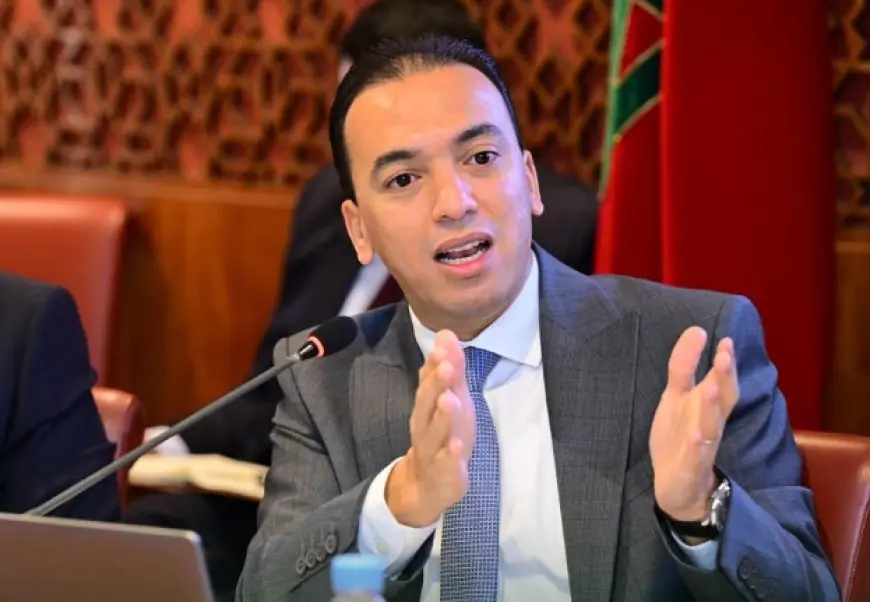 السعدي: مشروع قانون الإطار للاقتصاد الاجتماعي والتضامني بلغ مراحله الأخيرة