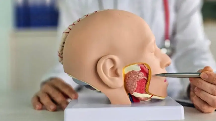 لسان اصطناعي يفتح آفاقا جديدة للكشف المبكر عن الأمراض وسلامة الغذاء