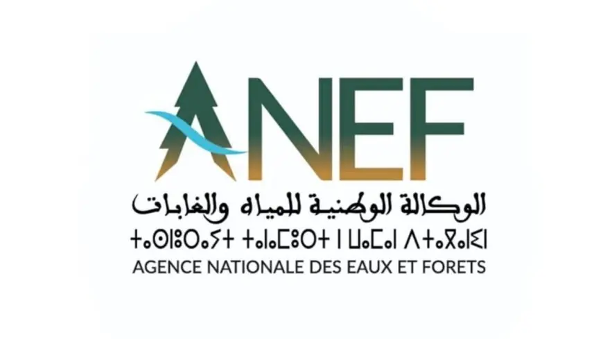 الوكالة الوطنية للمياه والغابات تصدر خرائط استباقية تحدد بدقة المناطق المهددة بحرائق الغابات