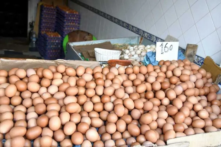 المرصد المغربي لحماية المستهلك يحذر من اختلالات سوق البيض ويطالب بترقيم العبوات