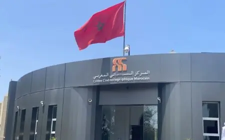 قانون الصناعة السينمائية وإعادة تنظيم المركز السينمائي المغربي يدخل حيز التنفيذ