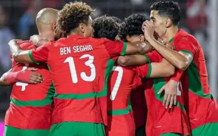 الميركاتو الصيفي يفرض إيقاعه على لاعبي المنتخب الوطني قبل مواجهة النيجر