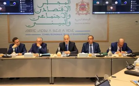قضايا الصحافة والمجتمع تجمع عبد القادر اعمارة ووزراء سابقين بقطاع الإتصال