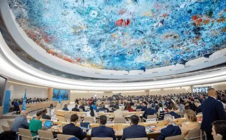 40 دولة تجدد دعمها للسيادة المغربية على الأقاليم الجنوبية خلال مجلس حقوق الإنسان بجنيف