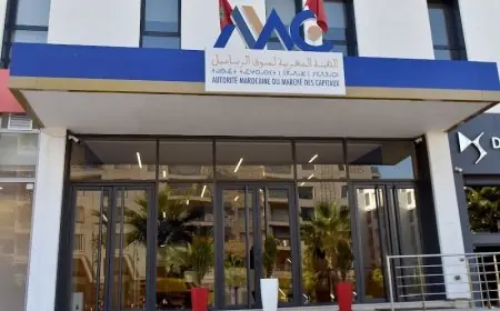 تسليم 4 مأذونيات و10 تأشيرات لشركات التدبير المغربية خلال غشت 2025