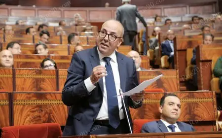 وزير الفلاحة يوضح أسباب تصدير زيت الزيتون رغم غلاء أسعاره محليا