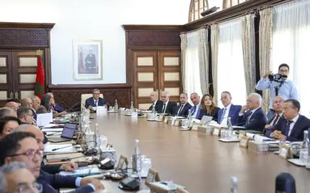 رئيس الحكومة يترأس اجتماع اللجنة المكلفة بإعادة بناء وتأهيل مناطق زلزال الحوز