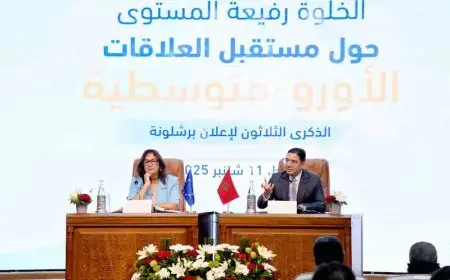 بوريطة: ما يحدث في قطاع غزة لا يسائل فقط القانون الدولي وإنما حتى الضمير الإنساني