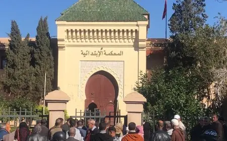 استدعاء نائب رئيس مقاطعة النخيل ومراسل صحفي أمام المحكمة الابتدائية بمراكش