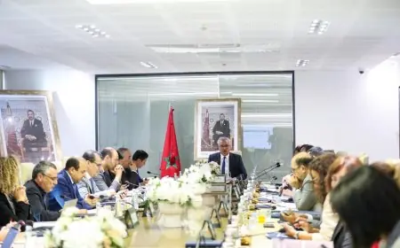 زيدان يشدد على تعزيز جاذبية المغرب للاستثمارات وتوسيع صادراته العالمية