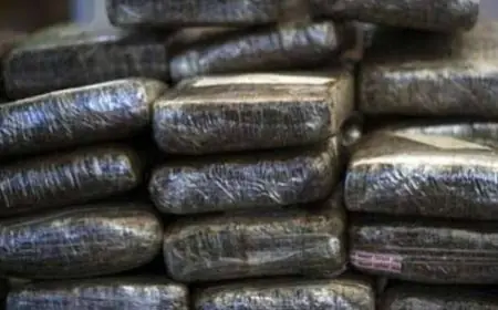 حجز طنين من مخدر الحشيش في عملية نوعية للدرك الملكي بجماعة أمجاو بإقليم الدريوش