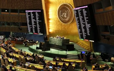 القضية الفلسطينية.. المغرب يصوت لصالح قرار الأمم المتحدة الداعم لحل الدولتين