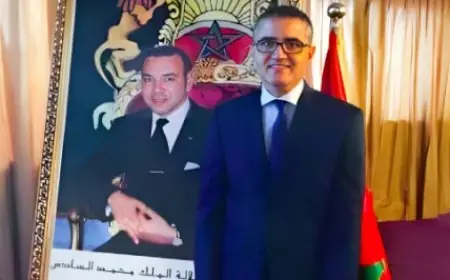 الناظور.. عامل الإقليم جمال الشعراني يقوم بجولة ميدانية لتعزيز الخدمات الصحية والتنموية ببني أنصار وزروالة