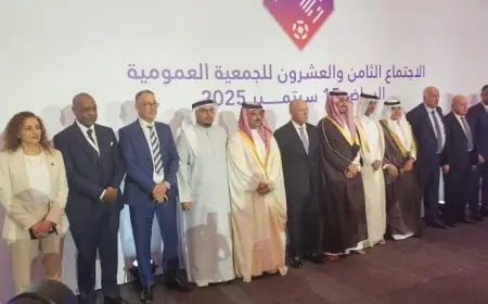 إعادة انتخاب فوزي لقجع عضوا بالتزكية في المجلس التنفيذي للاتحاد العربي لكرة القدم