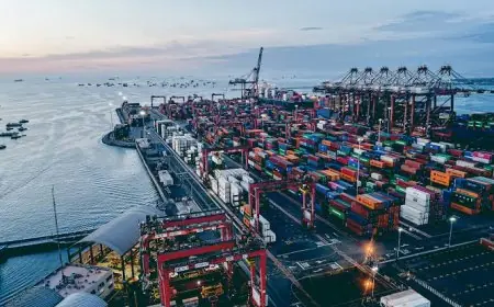خط بحري جديد يربط المغرب بأوروبا لتسريع صادرات الفواكه والخضر