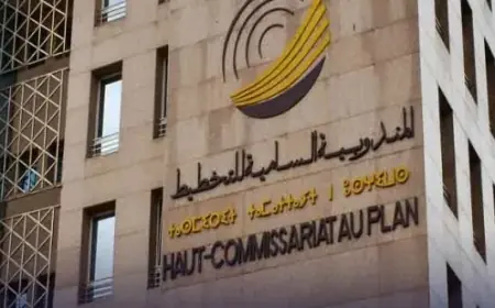 مندوبية التخطيط تكشف حجم التباين الاجتماعي بين المدن والأرياف