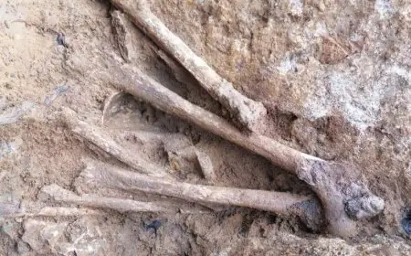 العثور على جثة سيدة بعد خمس سنوات من الاختفاء بإقليم اشتوكة آيت باها
