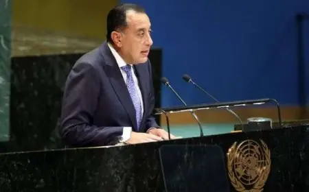 مصر تعلن تنظيم مؤتمر دولي لإعادة إعمار غزة بعد وقف إطلاق النار