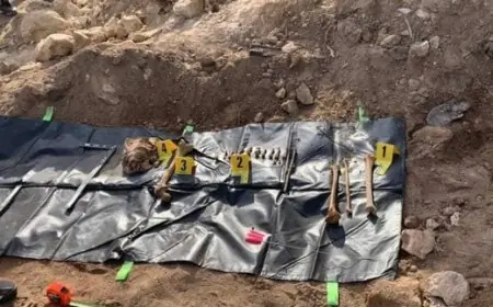 ورزازات.. العثور على بقايا بشرية يستنفر السلطات