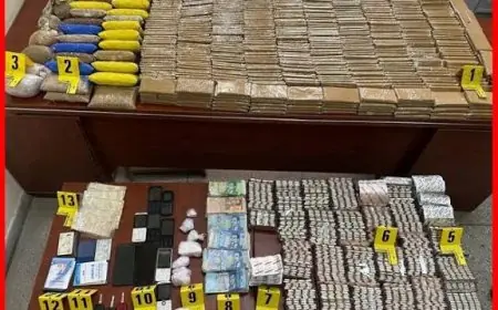 تفكيك شبكة مخدرات بفاس وتوقيف المشتبه فيهم أثناء الترويج