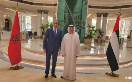 حموشي يجري زيارة عمل إلى الإمارات لتعزيز التعاون الأمني