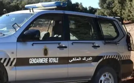 بن جرير.. توقيف شخص مبحوث عنه بـموجب 24 مذكرة بحث وطنية