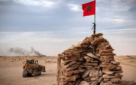 البرتغال تجدد دعمها لمبادرة الحكم الذاتي بالصحراء المغربية