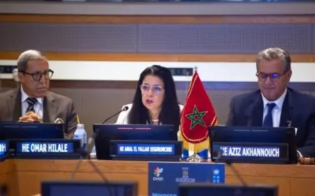 المغرب يعزز ريادته الرقمية بإطلاق قطب التنمية المستدامة بنيويورك