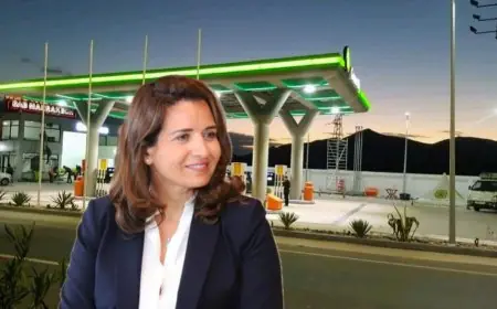 أرباب محطات الوقود يطالبون بنعلي بمكافحة البيع العشوائي وحماية القطاع