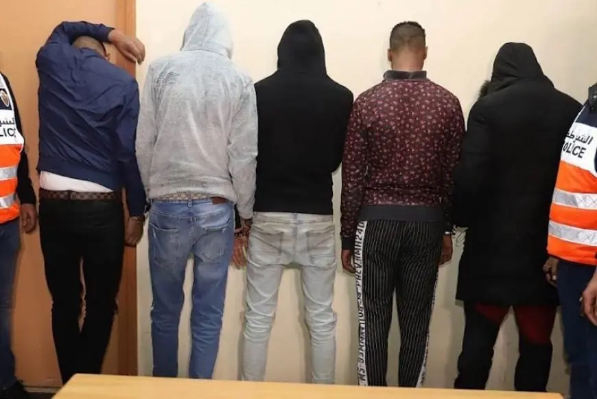 جرسيف.. الشرطة القضائية توقف شبكة متخصصة في السرقات وترويج المخدرات