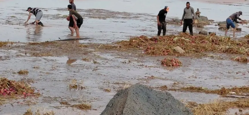 عاصفة رعدية تقضي على أشهر المحاصيل في كيكو وتدفع الفلاحين لطلب دعم عاجل