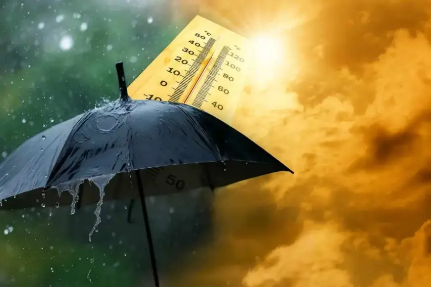 طقس الثلاثاء: أجواء حارة نسبيا وضباب وأمطار متفرقة بعدة مناطق بالمغرب