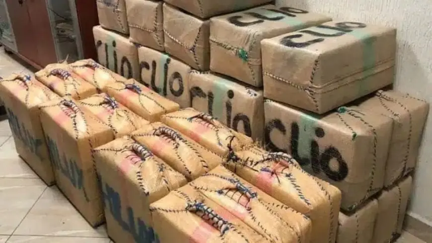 طانطان.. الدرك الملكي يفشل محاولة لتهريب كمية مهمة من المخدرات